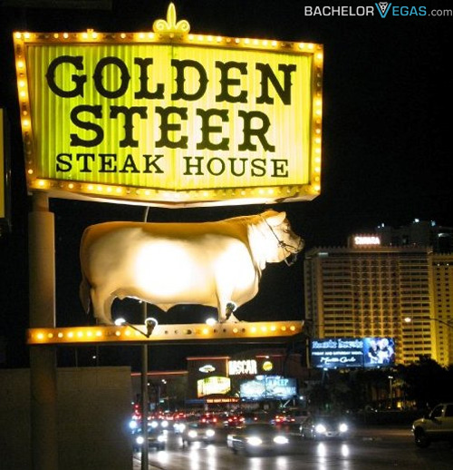 golden steer
