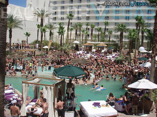 Las Vegas Rehab pool party